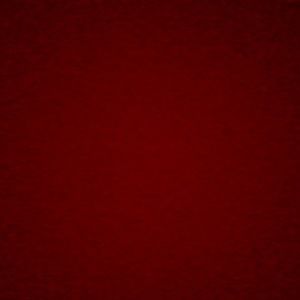 Meet your Posher, Shana